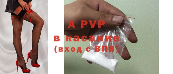 индика Балахна
