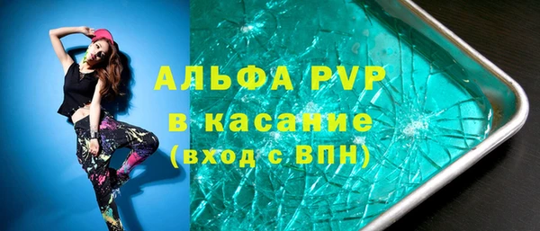 индика Балахна