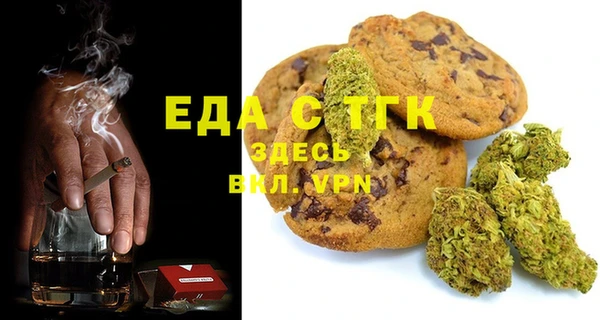 индика Балахна
