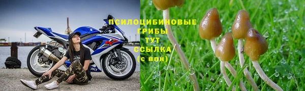 тгк Арсеньев